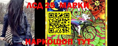 дурь Шелехов