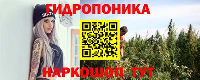 дурь Шелехов