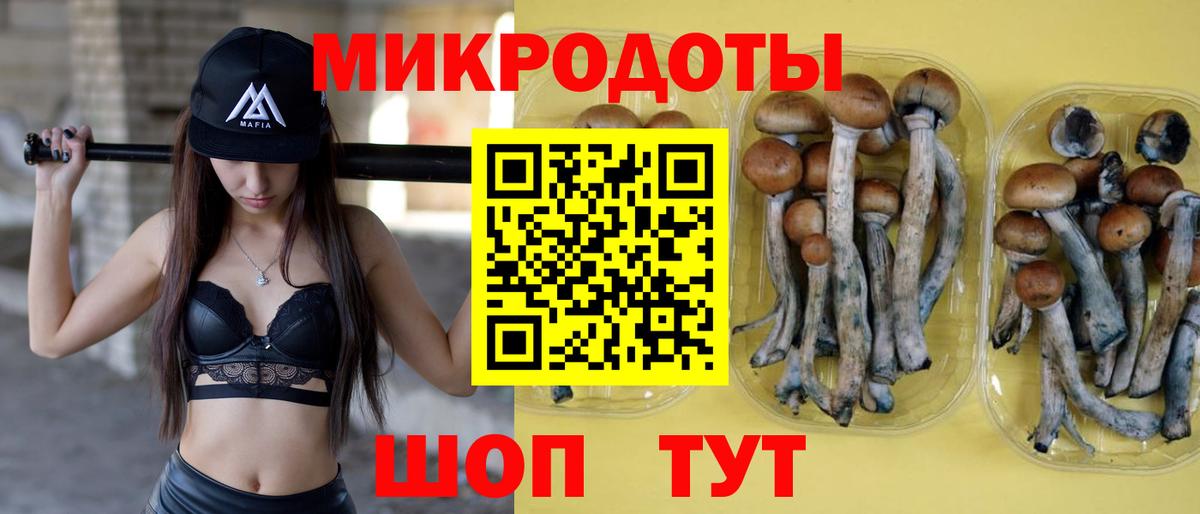 Псилоцибиновые грибы Cubensis Белая Калитва