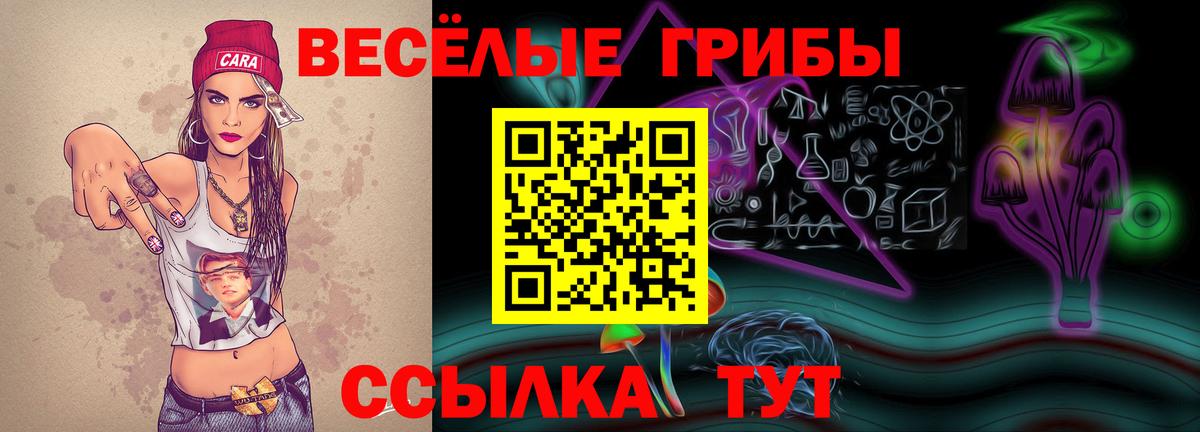 Белая Калитва  Псилоцибиновые грибы Psilocybe  Вход с VPN  Псилоцибиновые грибы Cubensis 